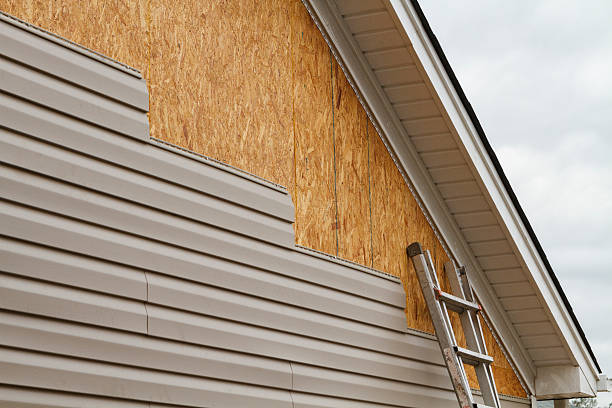 Professional Siding Inspection technician working in Bellevue, IL